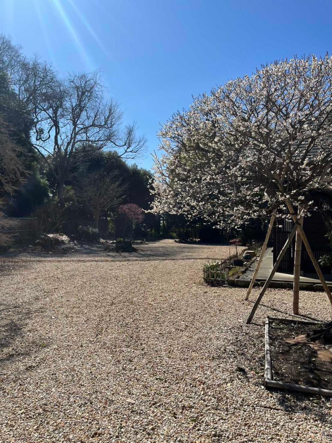 甘糟屋敷 Amakasu Yashiki Kamakura Villa Exterior photo